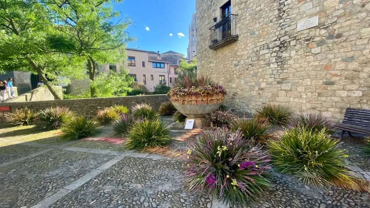 Imagen 7