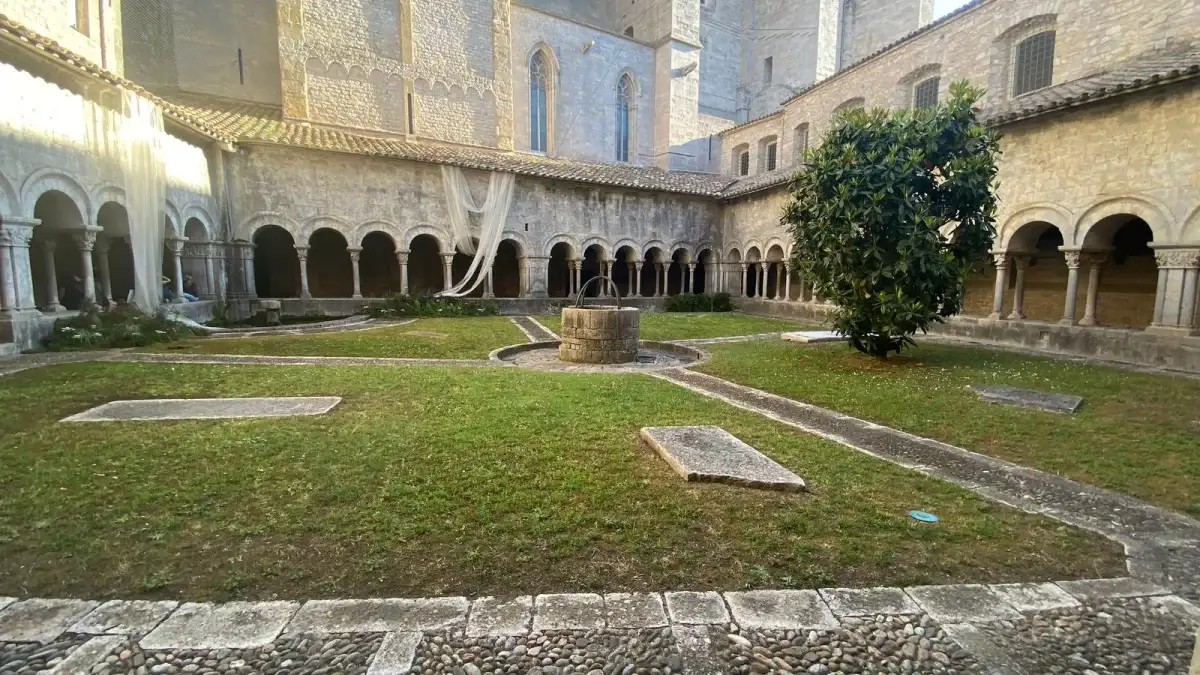 Imagen 12